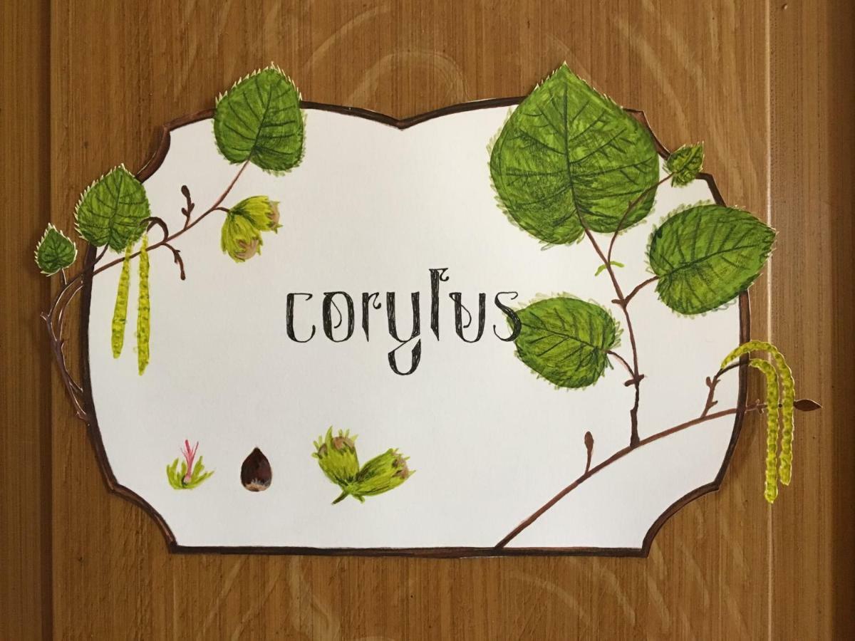 Le Clos Des Fayettes Theize Exterior foto